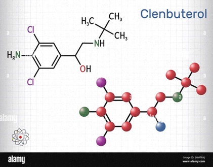 clenbuterolo