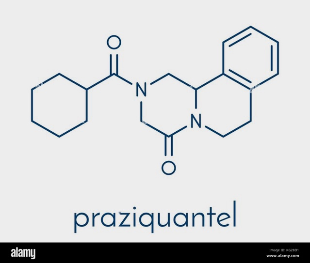 praziquantel