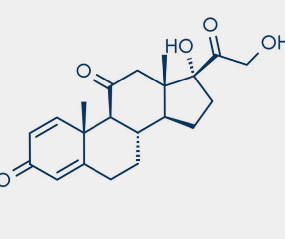 prednisone