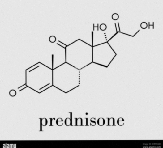 prednisone