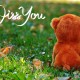 miss-861842_1920